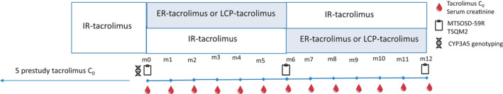 FIGURE 1