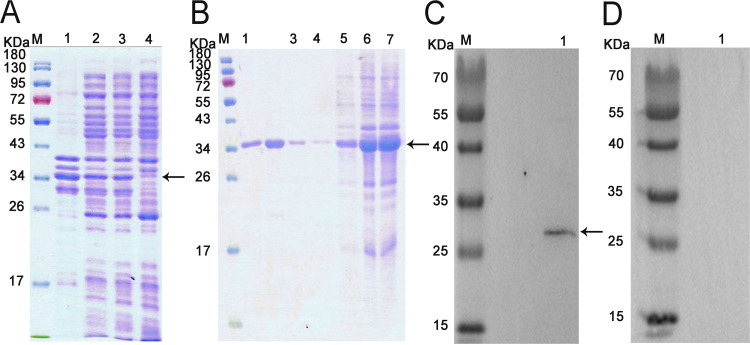 FIG 3