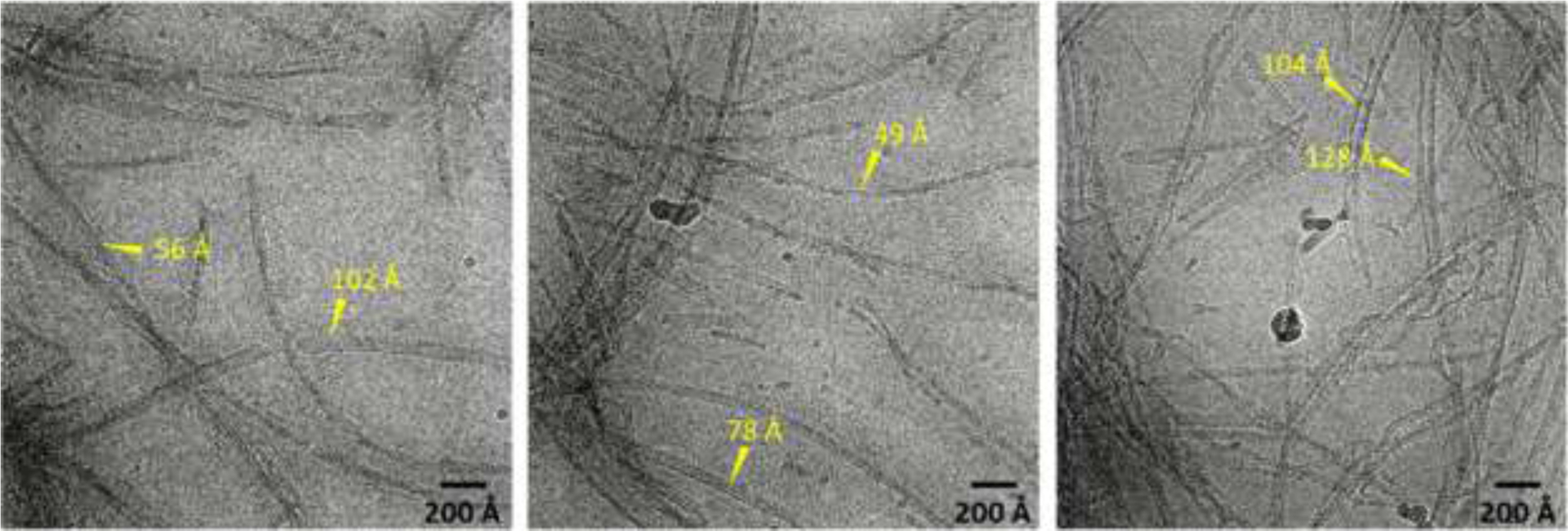 Figure 3: