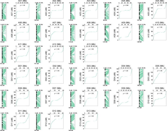 Supplementary figure 4