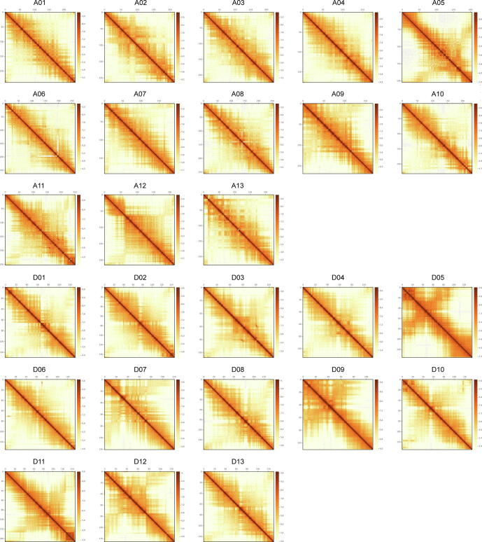 Supplementary figure 2