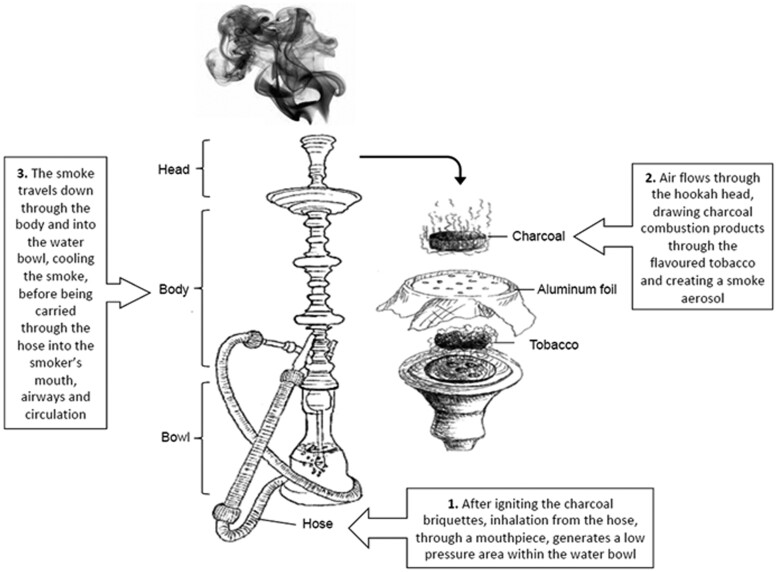 Fig. 1.