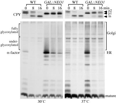 Figure 10.