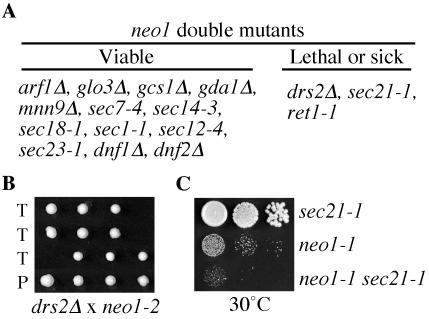 Figure 9.