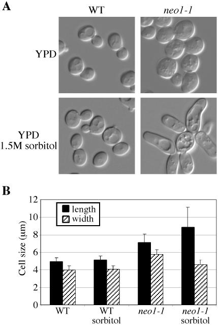 Figure 5.