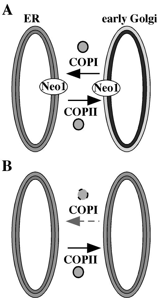 Figure 12.