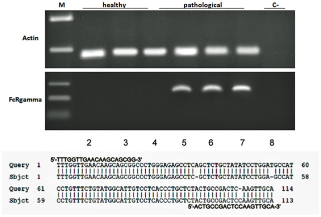 Fig 8