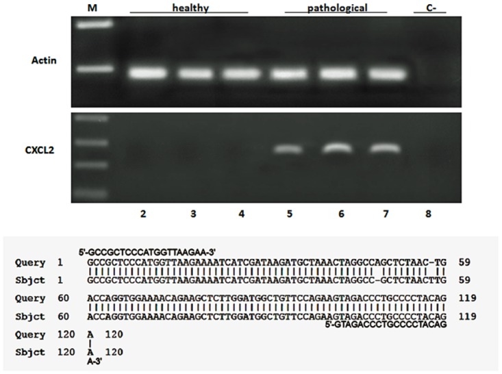 Fig 12