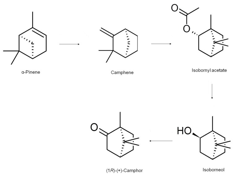 Scheme 2