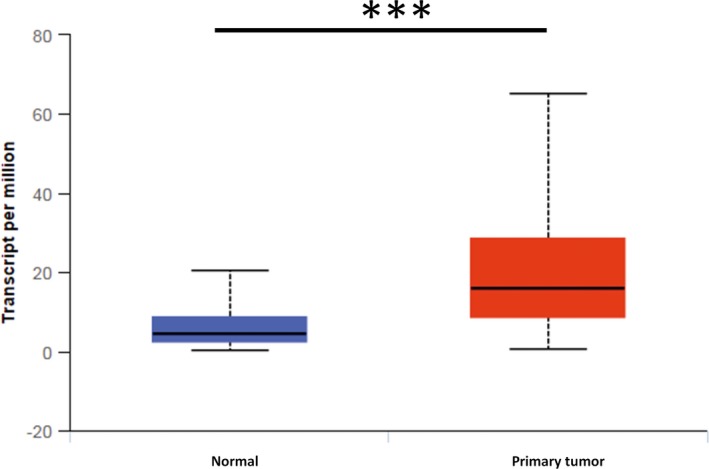 FIGURE 1