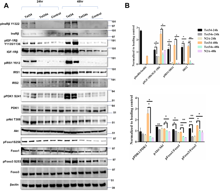 Figure 2