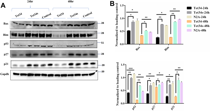 Figure 5