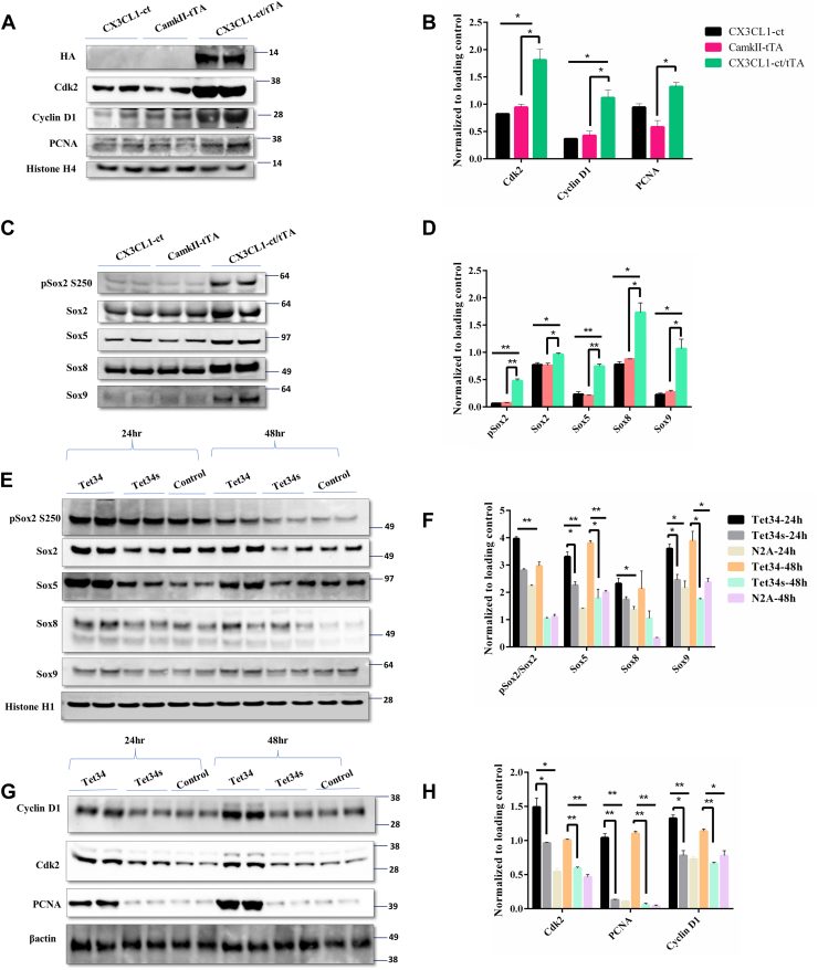 Figure 4