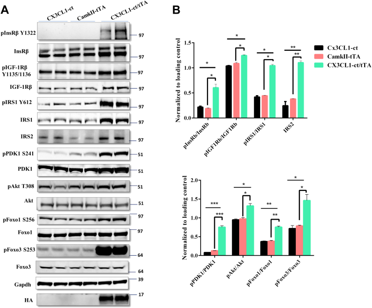 Figure 3