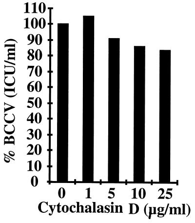 FIG. 6