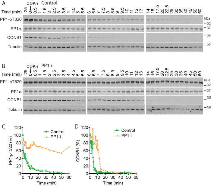 FIGURE 1: