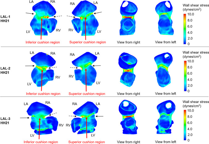 Fig. 12