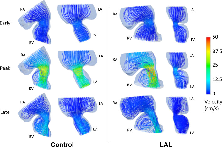 Fig. 15