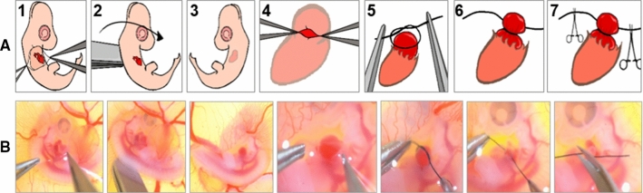 Fig. 2