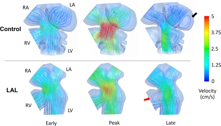 Fig. 13