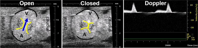 Fig. 3