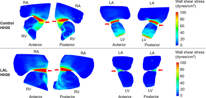 Fig. 14