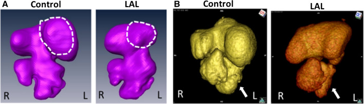 Fig. 10