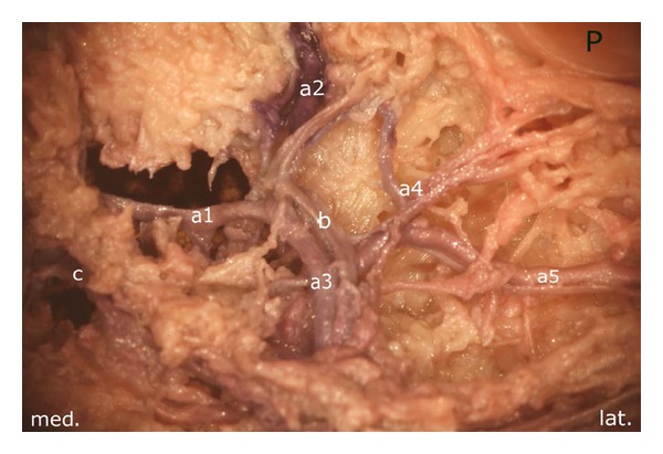 Figure 10