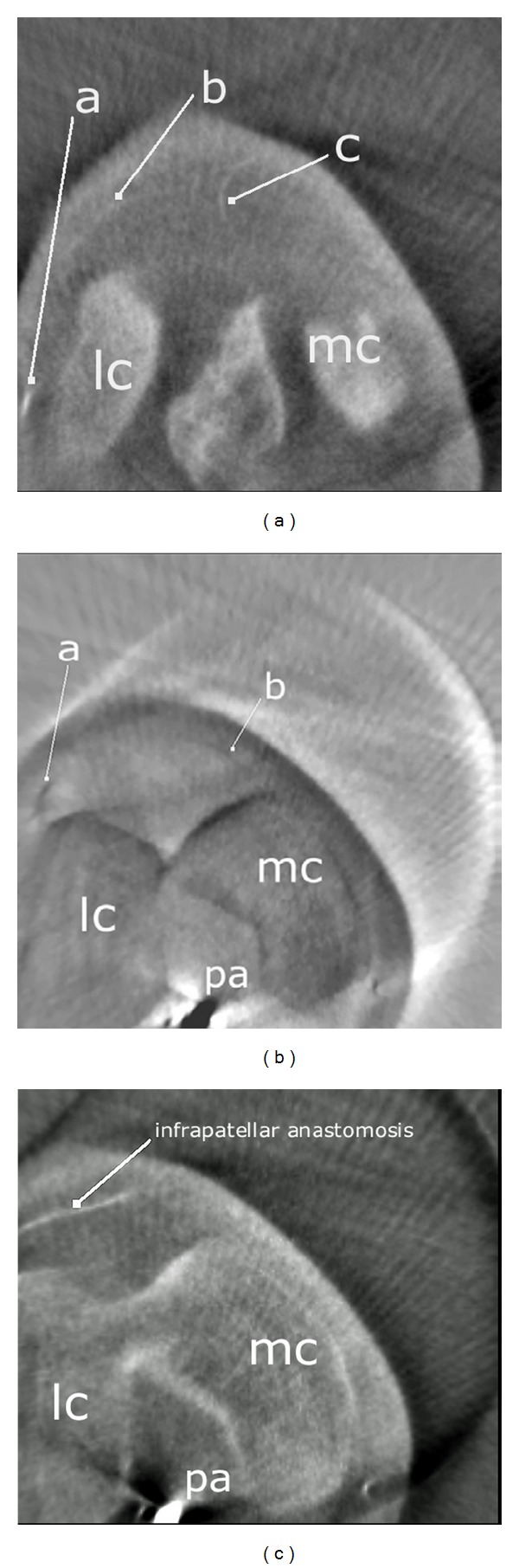 Figure 15