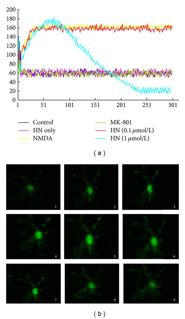 Figure 5