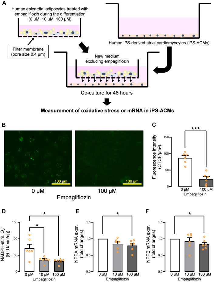 Figure 6