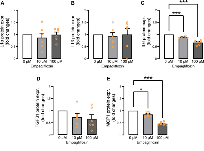 Figure 5