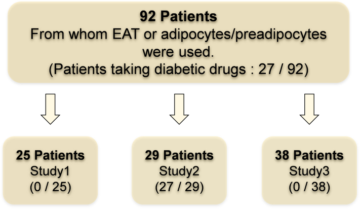 Figure 1