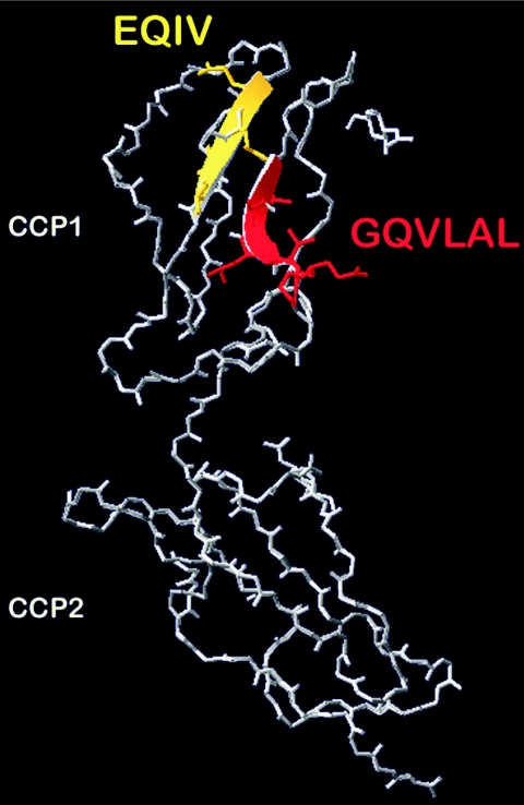 FIG. 7.