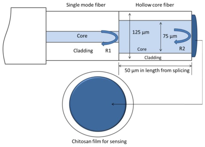 Figure 7.