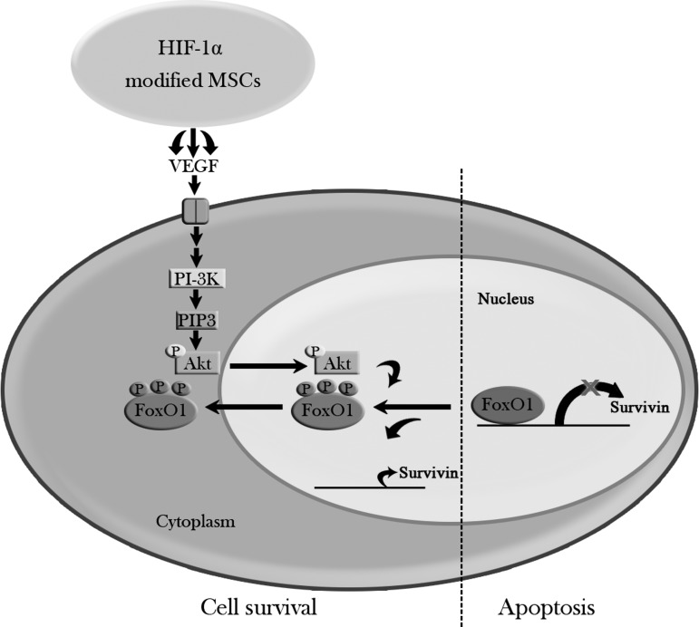 FIG. 7.