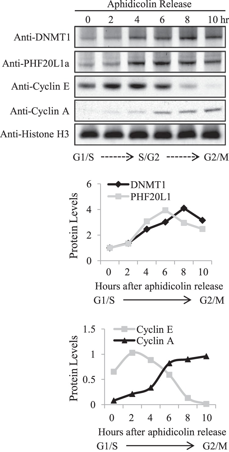 FIGURE 2.