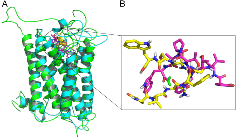 Fig. 7