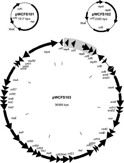 FIG. 1.