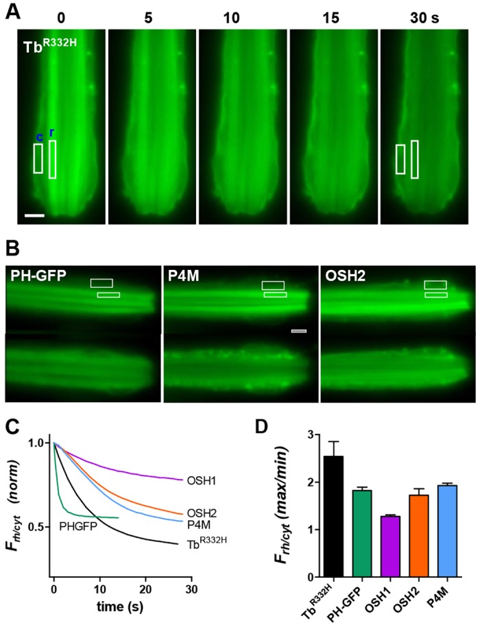 Fig. 1.