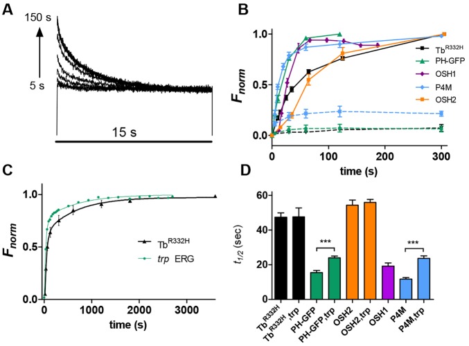 Fig. 4.