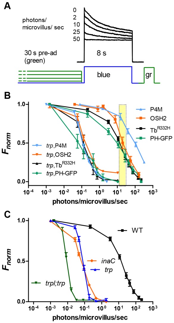 Fig. 3.