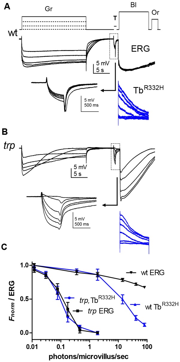 Fig. 7.