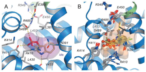 Fig. 10