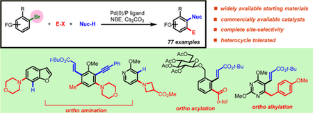 graphic file with name nihms-1014857-f0001.jpg