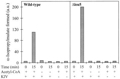 FIG. 4