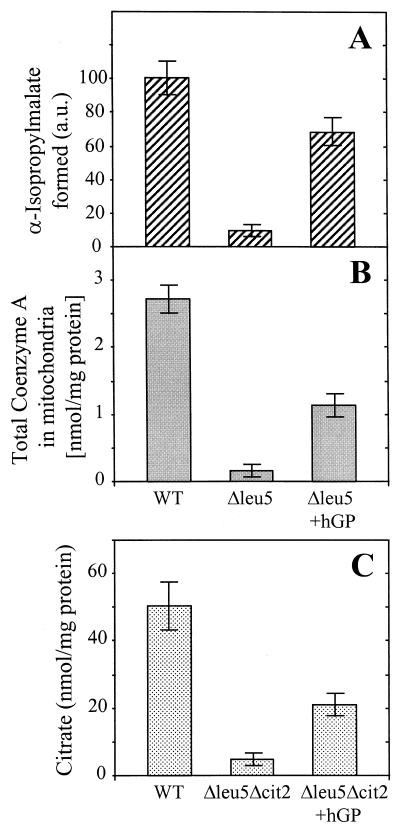 FIG. 7