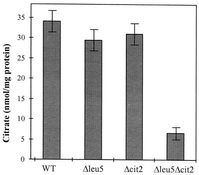 FIG. 6