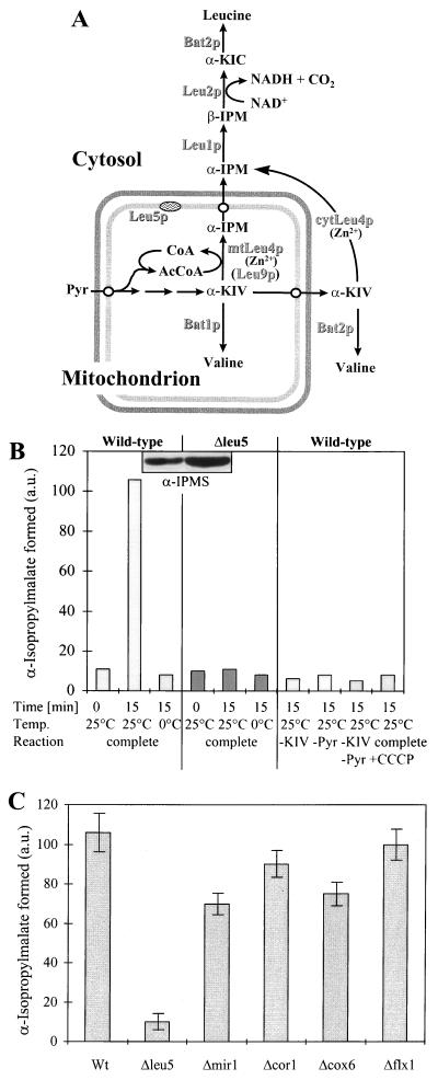 FIG. 3