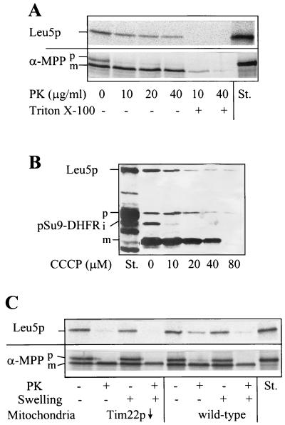 FIG. 1